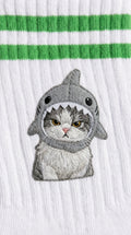 Sharky Cat