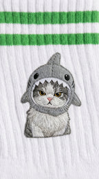 Sharky Cat