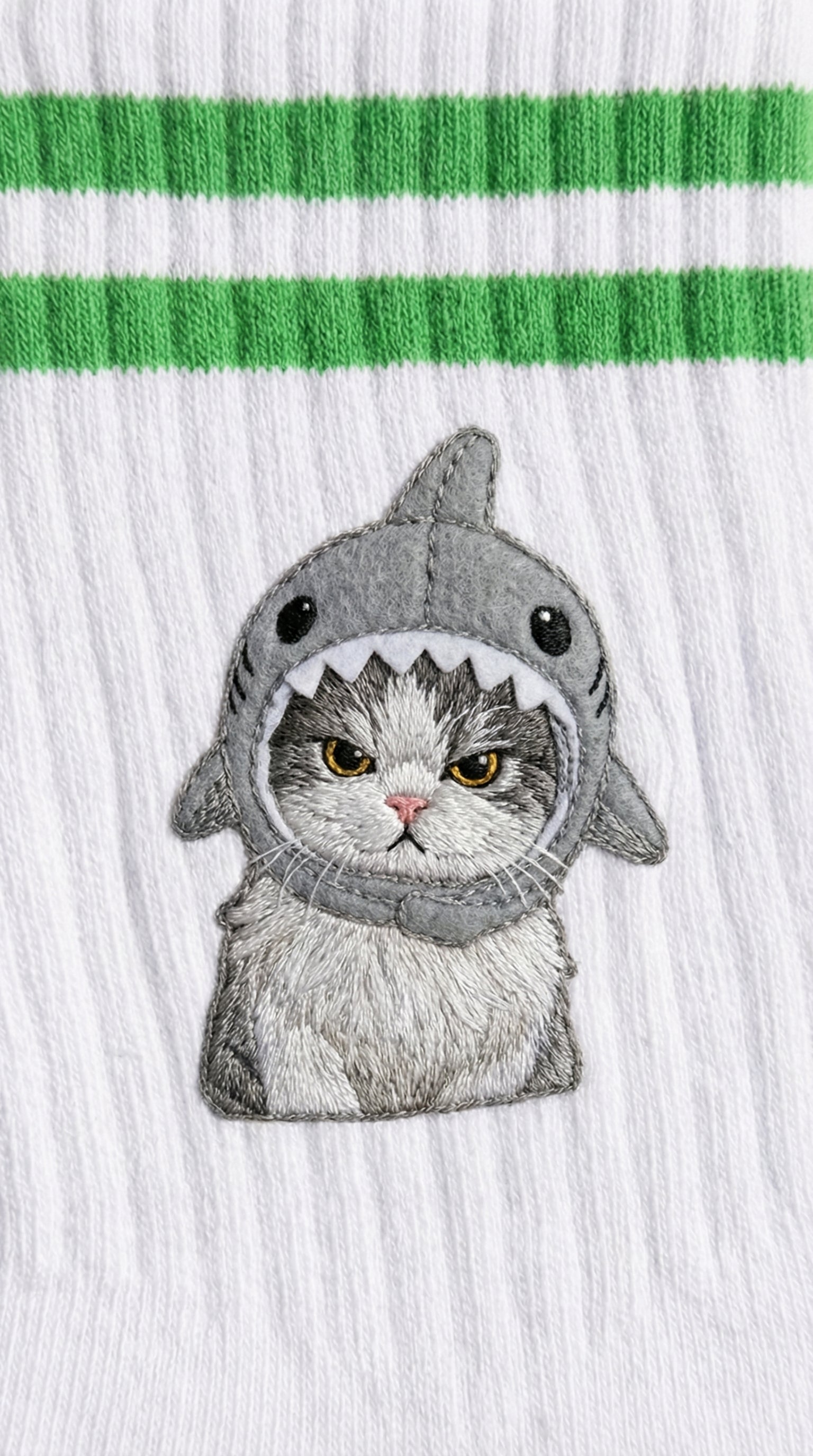 Sharky Cat